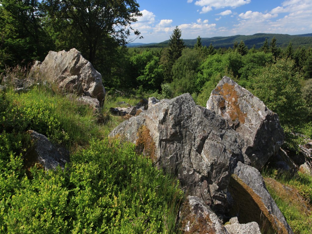 Wehlenstein (Foto: NP Hunsrück-Hochwald / K. Funk)